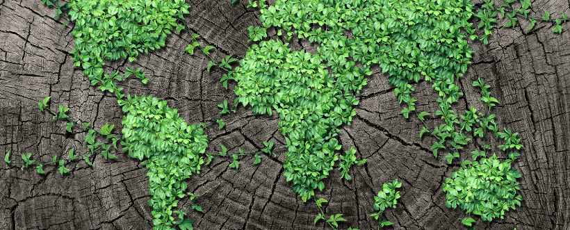 Sistema De Gestión Ambiental