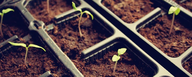 Sistemas de Gestión Ambiental